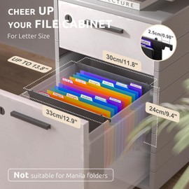 ThinkTex Plastic Expanding Hanging File Folders,12 Accordion Pockets,Large Capacity for Letter Size, Organizer for Filing Cabinet,Ideal for Tax,Contracts,Invoices,for Office,School-black-2set