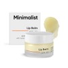 Minimalist- Minimalist
