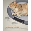 Feandrea Pet Bed, Cat Hammock, Elevated Cat Bed for Multiple