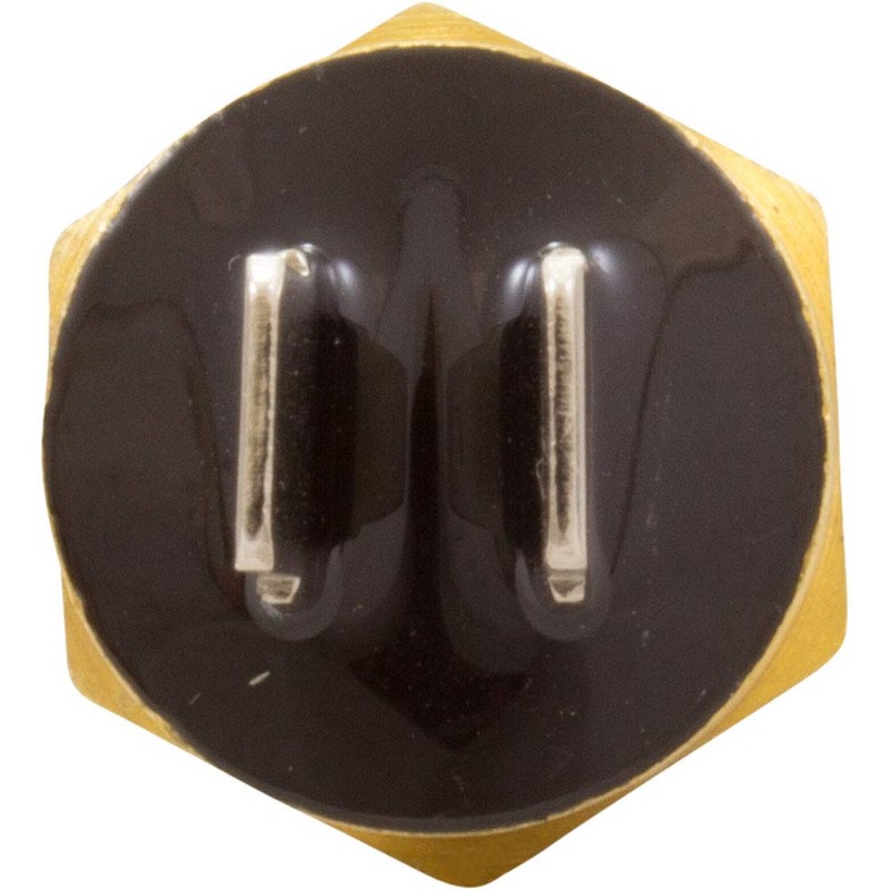 Pentair Hi Limit Switch, MasterTemp 125