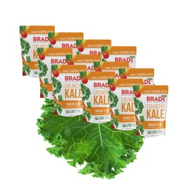 Brad's Plant Based Organic Crunchy Kale, Cheeze It Up, 12 Bags, 24 Servings Total