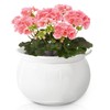 LITUDISO African Violet Pots, 6 Inch Self Watering Pots for