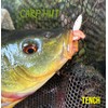 Artificial Pop Up Flavour Infused Mixed Colour PINKIE Maggots for