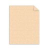 SOU894C - Southworth Parchment Specialty Paper