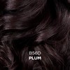 Clairol Professional Beautiful Collection Hair Color, 56D Plum, 3 oz.