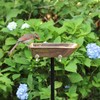 Pure Copper Bird Bath, Featuring Clawfoot Bathtub Design - Polished