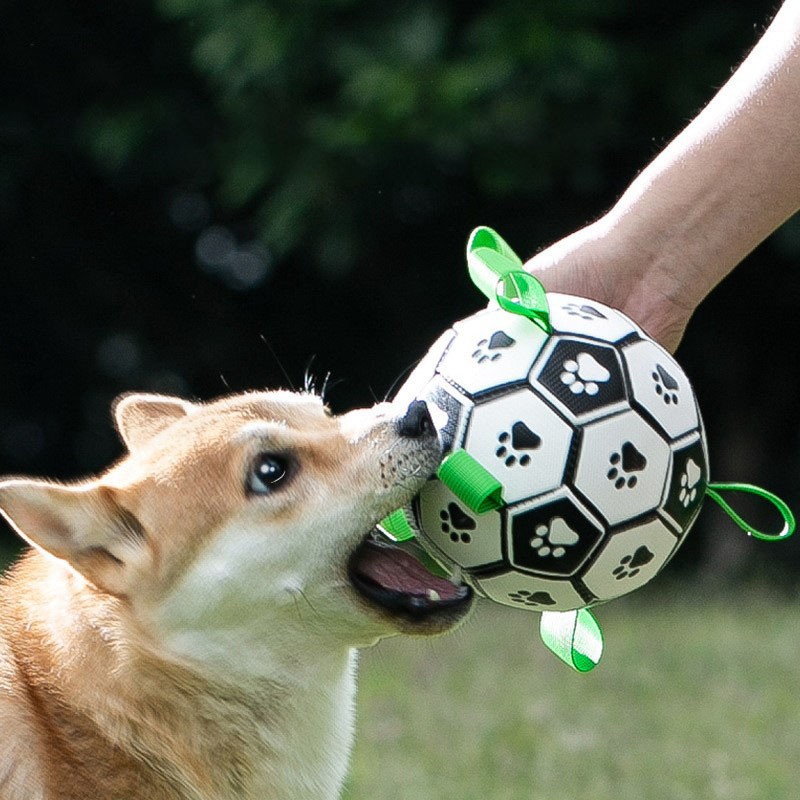 Dog Soccer Ball Toy Bite Resistant Inflatable Interactive Molar Pet