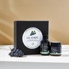 Glamor Repair Shampoo Mask Set / 글래모 Glamor 리페어 샴푸