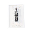 RiteAV 1 Port HDMI 2 Port USB A-A Wall Plate