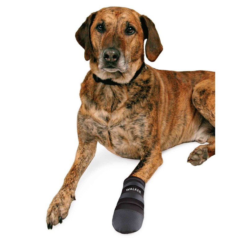 Trixie Walker Care Paw Protector