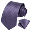 HISDERN Mens Ties Purple Tie and Pocket Square Dark Purple