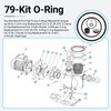 O-Ring Repair Rebuild Kit 79 Fit for StaRite Max-E-Pro Pool