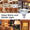 PAR38 Halogen Flood Light Bulbs 2 Pcs, 80W Equivalent, 120V,