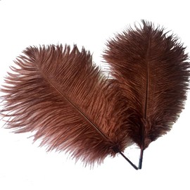 Sowder 14-16inch(35-40cm) Ostrich Feathers Plume for Wedding Centerpieces Home Decoration Pack of 10pcs(Brown)