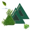 2 Pcs Nature Triangle Shampoo Bar, Triangle Shampoo