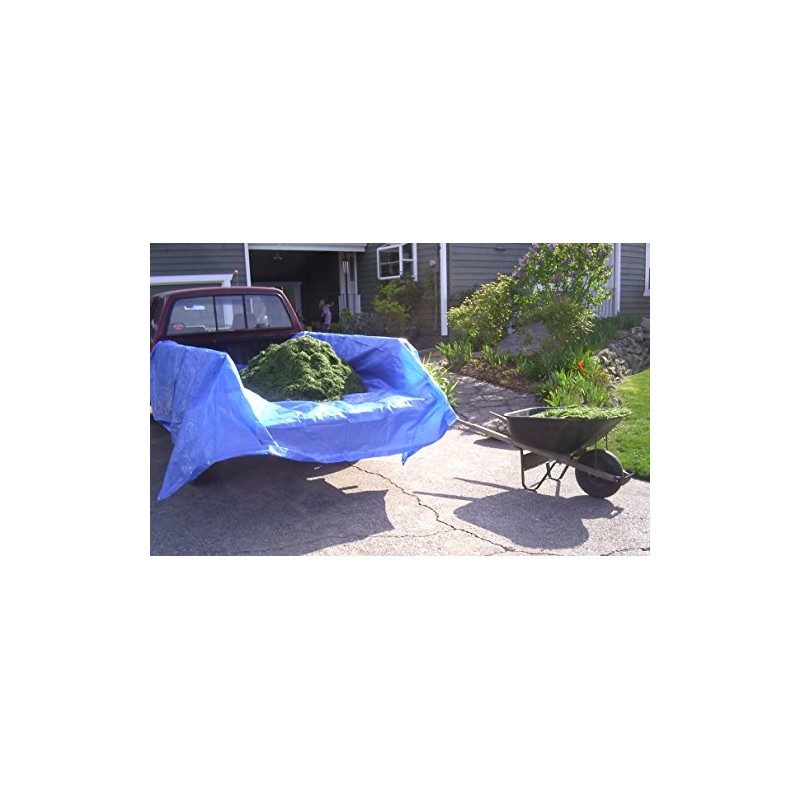 Dry Top 800685 Cut Size Tarp, 6x8 Feet (Blue)