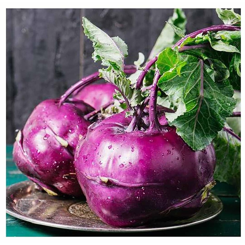 White Vienna Kohlrabi Seeds - Marde Ross & Co