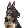 Dog Muzzle Breathable Basket Muzzles for Large and X-Large Dogs,