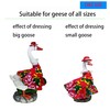 Clerodendrum Goose Outfit Suitable, Suitable for Both of Small and