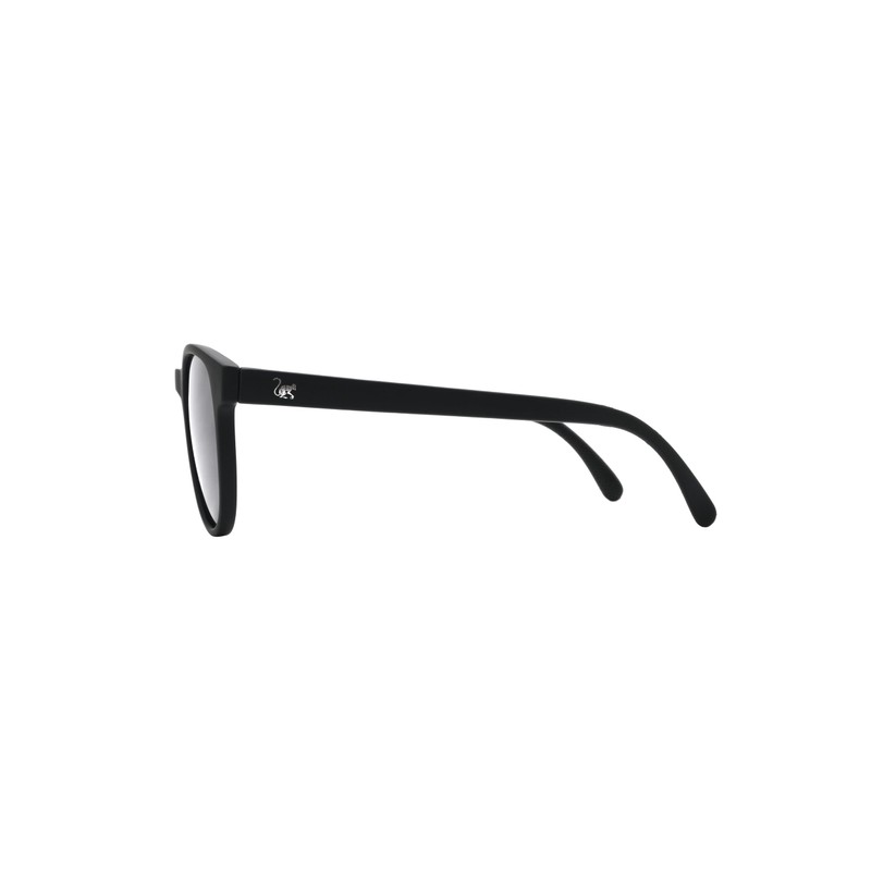 Surf Monkey Polarized Sunglasses for Men and Women UV400 BPA
