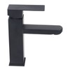 Basin Faucet Stainless Steel Surface Black Baking Paint Bathroom Sink