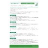 Shoukensha Moringa Power Tea Bag, 0.1 oz (3 g) x