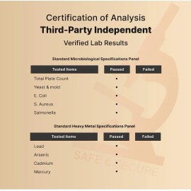 Fosfatidilserina 500mg Salud Cerebral Avanzada 240 Americano Sabor Sin Sabor