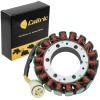 Celox Stator for Can-Am for Bombardier DS650 2000 2001 2002