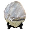 Nupuyai Natural Geode Agate Stone Slice Decor for Home Office,