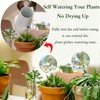 Self Watering Globes for Plants, Large 6pcs Glass Garden Self