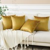 Sungeek Set of 4 Decorative Cushion Covers Solid Soft Velvet