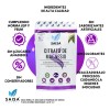 Citrato Magnesio Puro 120 Cápsulas 500 Bolsa Suplemento Alimenticio Alta
