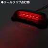 Universal Fender Mount LED Tail Lamp Black Body Red Lens