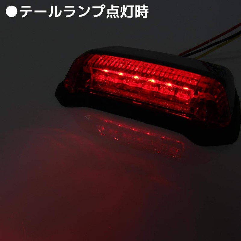 Universal Fender Mount LED Tail Lamp Black Body Red Lens