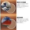 [villageriver] Japanese Souvenir Coaster for Foreigners, Round Shape, Thirty-Six Views