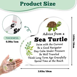 Inspirational Desk Sign Acrylic Plaque Turtle Gifts for Turtle Lovers Motivational Desk Decor Signs for Sea Turtle Lovers Friends Coworker Family Daughter Son Sister Christmas Office Accessories