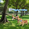 LOOBANI Spring Pole Dog Rope Toys - Tug of War