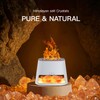 BieJiahWeiBie Luxury Himalayan Salt Lamp Humidifier & Aromatherapy Diffuser -