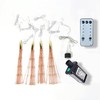 PXBNIUYA 4 Pack 800 LED Plug in Starburst Sphere Lights,Firework