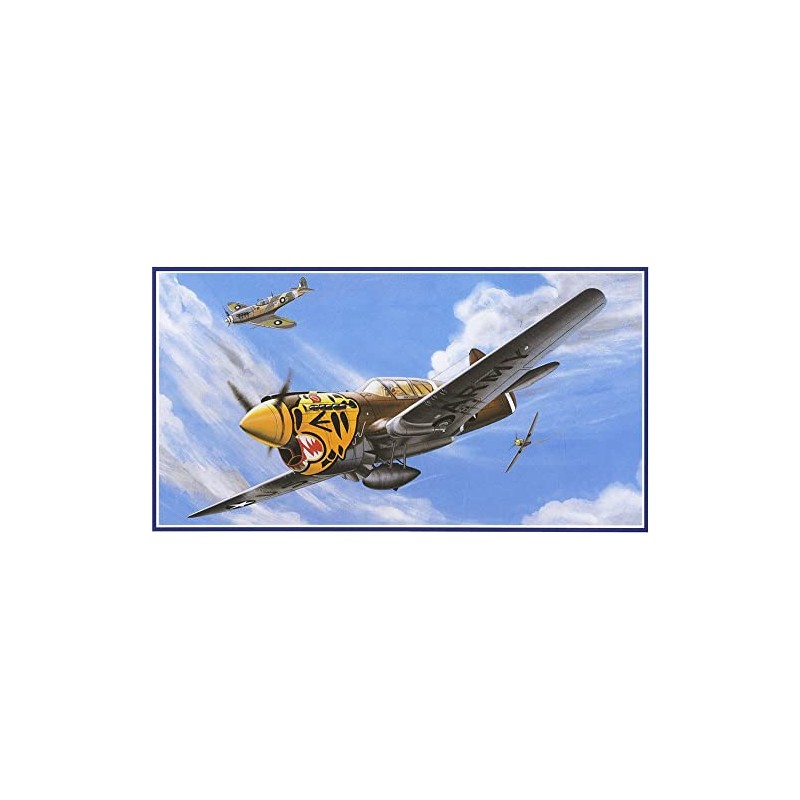 Micro Ace 1/48 Taisenki Series No.11 US Army Curtiss P-40E