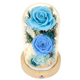 Flowers, Roses, Gifts–Flowers Bouquet & Forever Flowers for Delivery Prime - Preserved Flowers Birthday Gift for Women, Valentine's, Mother's Day, Christmas–Lasting Fresh Roses, Battery Included