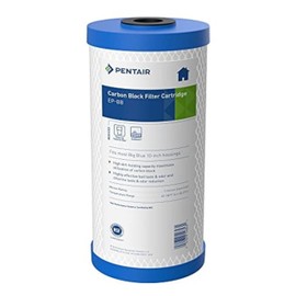 Pentair Pentek EP-BB Big Blue Carbon Water Filter, 10-Inch, Whole House Carbon Block Replacement Cartridge with Bonded Powdered Activated Carbon (PAC) Filter, 10" x 4.5", 5 Micron
