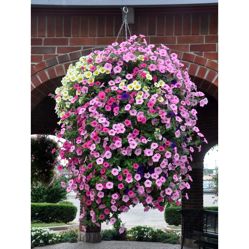 Soil Moist JCD-05SM 8 oz Hydrogel Granules