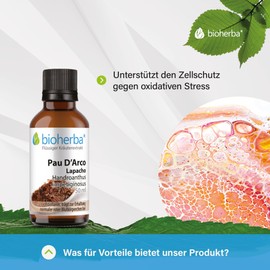 BIOHERBA – Pau D'Arco Lapacho Tropfen – 50 ml Tinktur – Mit Lapacho-Rinden-Extrakt und Vitamin B2 – Handroanthus impetiginosus – Unterstützt Blutbildung, Zellschutz und Schleimhäute – PZN 17186894