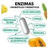 Enzimas Digestivas Probióticos Y Prebióticos Prebiotic - Lactobacillus Acidophilus, Lactasa,