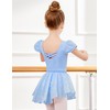 Zaclotre Girls Ballet Leotards with Removable High Low Skirt Toddler