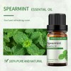 GREENSLEEVES Spearmint Essential Oil 10ml, 100% Pure Organic Diffuser Oils