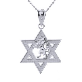 Sterling Silver Israel Lion of Judah Magen David Star Hebrew Pendant Necklace, 22"