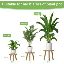 Soportes para Plantas, Lote de 3 Soportes de Madera para Plantas de Interior, Taburete para Plantas de Estilo Moderno de Mediados de Siglo para la Sala, el Balcón o la Oficina (Claro)