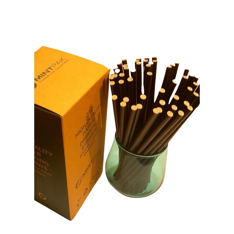Paper Drinking Straws, 250 Count, Length 200mm, Bore 6mm, Food